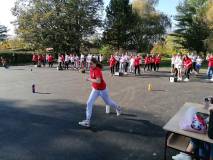 IMG 6947f5ce1b094bb51726be43bb92dc9e V